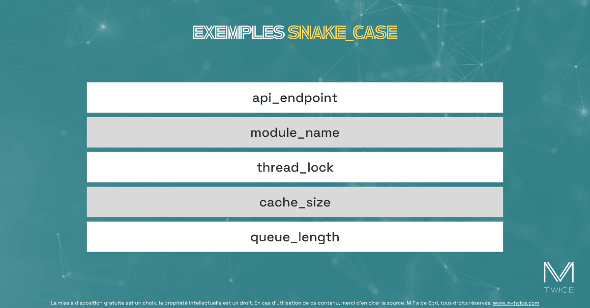Exemples snake_case
