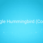 Google Hummingbird (Colibri)