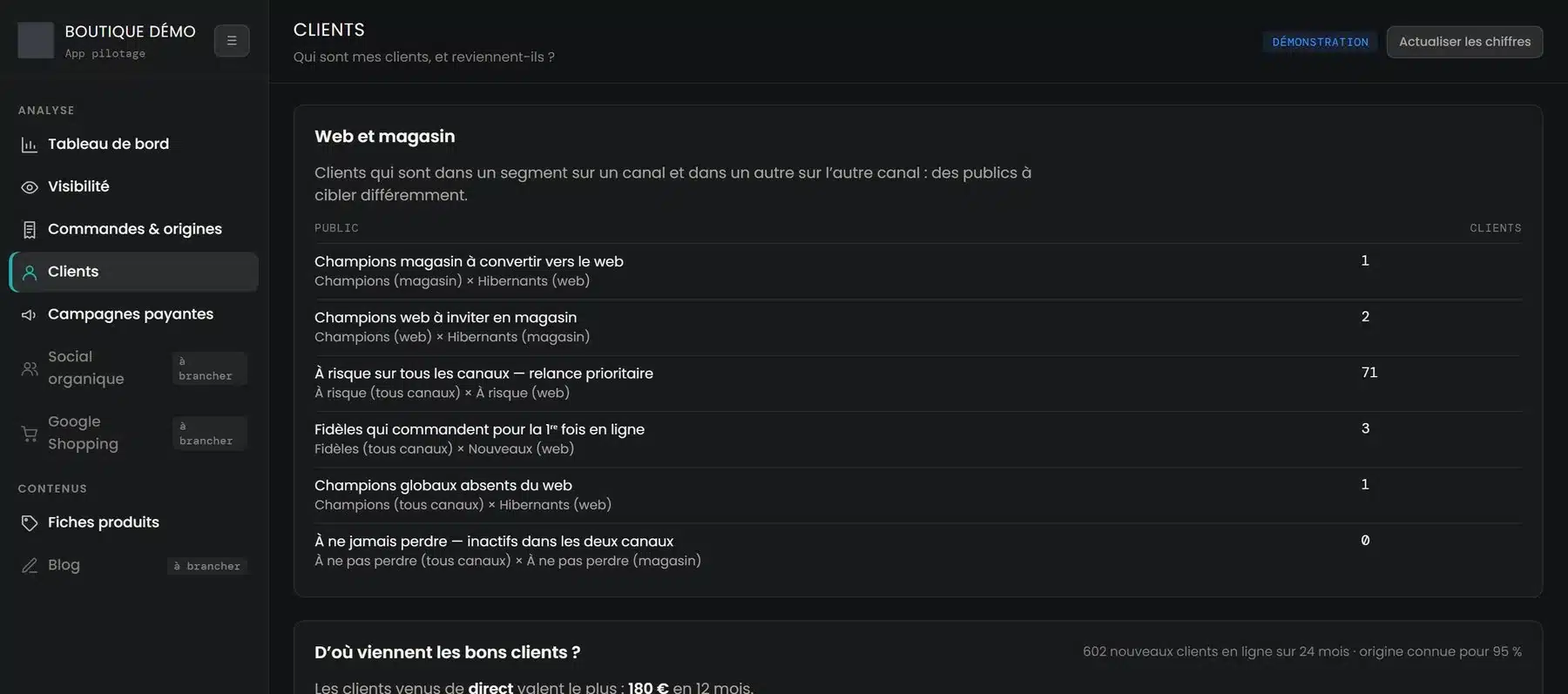 Outil de pilotage : clients du magasin et du site, par segment (écran de démonstration)