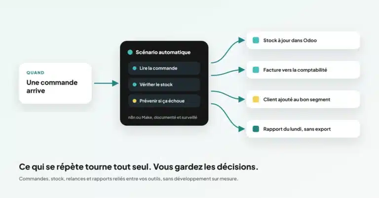 Agence no-code en Belgique
