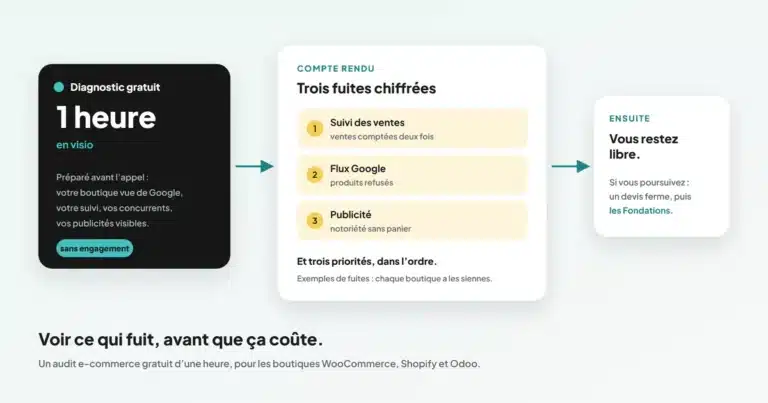 Audit e-commerce