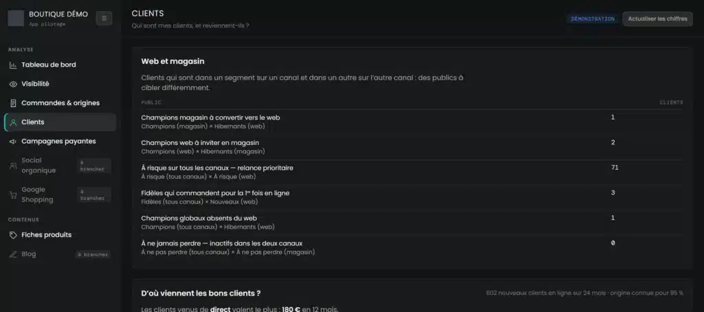 Onglet Clients : clients du magasin et du site croisés par segment, écran de démonstration